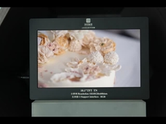 10,1 POLEGADAS 1024X600