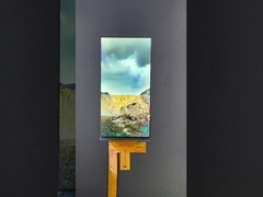 6 polegadas 1080*2160 Resolução LCD tft módulo MIPI Interface Driving IC HX8399C