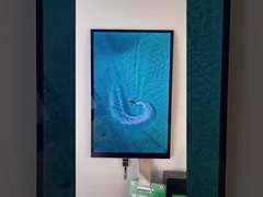 10.1 Tipo de barra de polegadas TFT Display 1200*1920 Resolução MIPI Interface 1000cd/M2